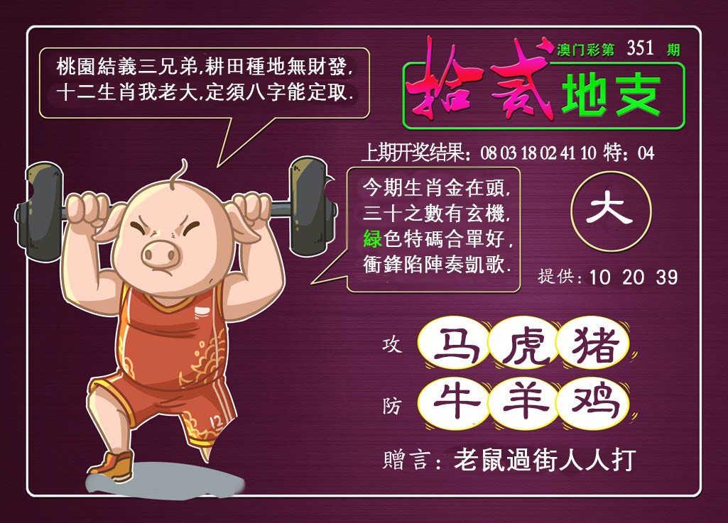 2024351期十二地支
