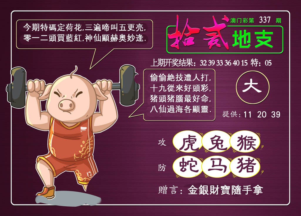 2024337期十二地支