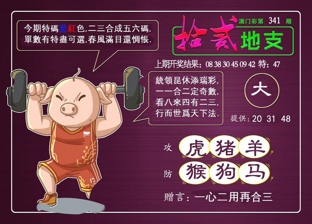 2024341期十二地支
