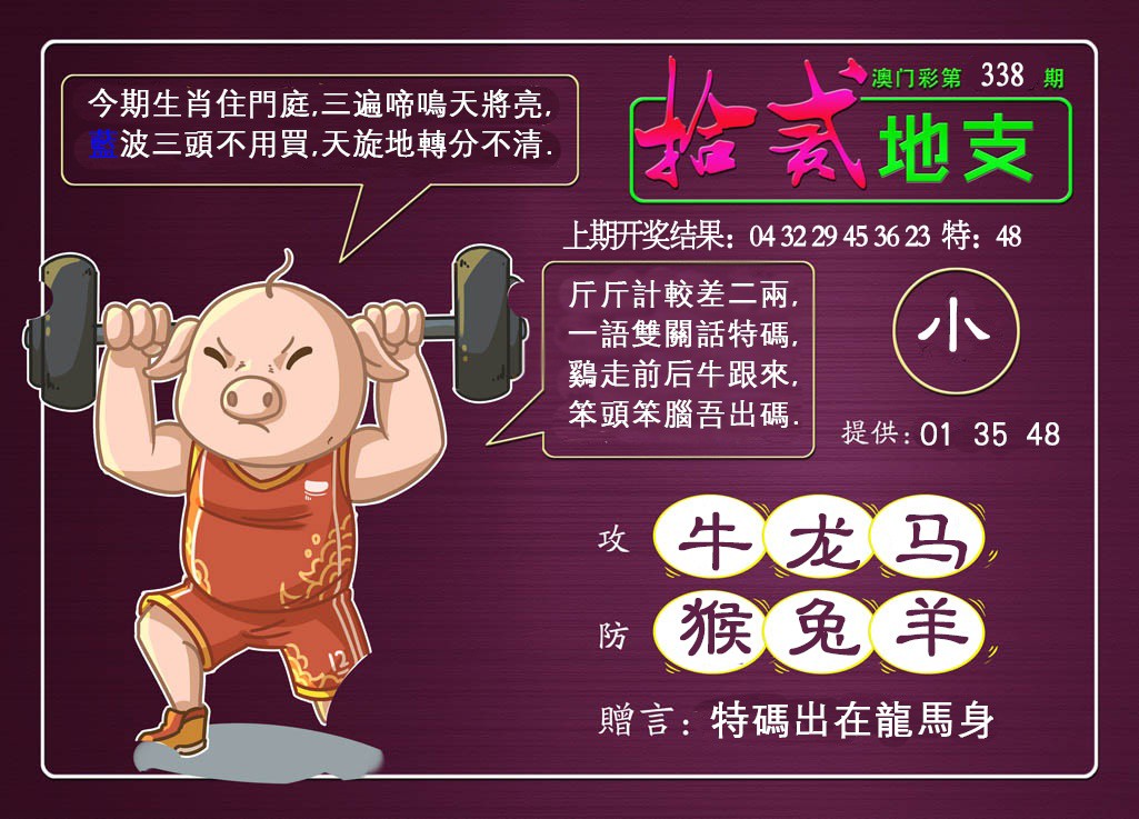 2024338期十二地支