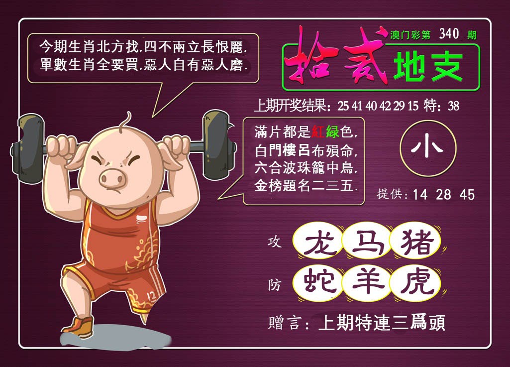 2024340期十二地支