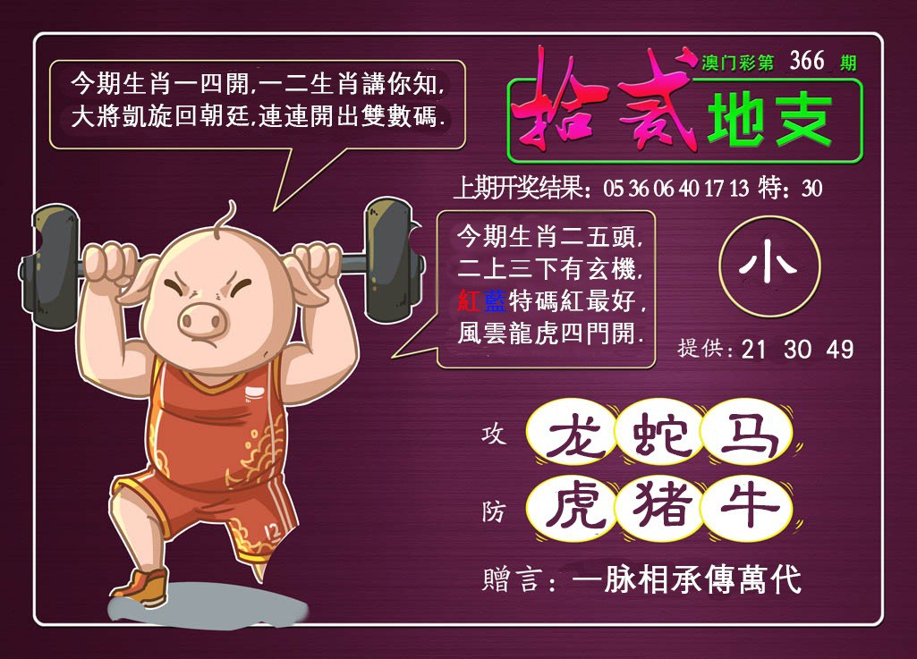 2024366期十二地支