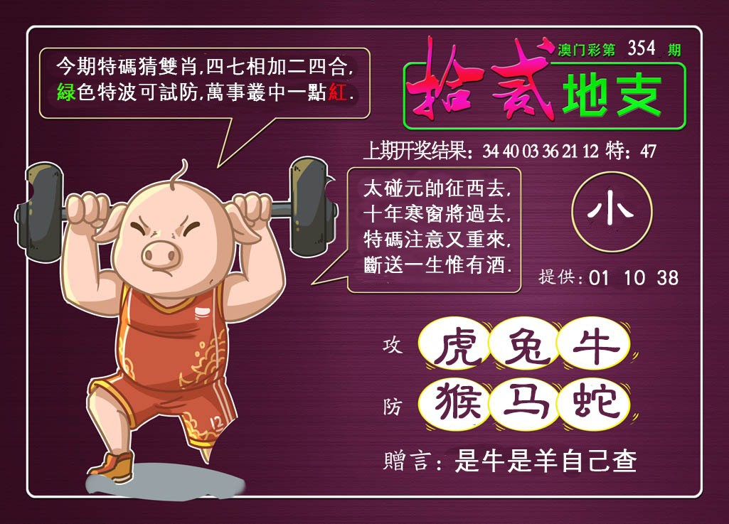 2024354期十二地支