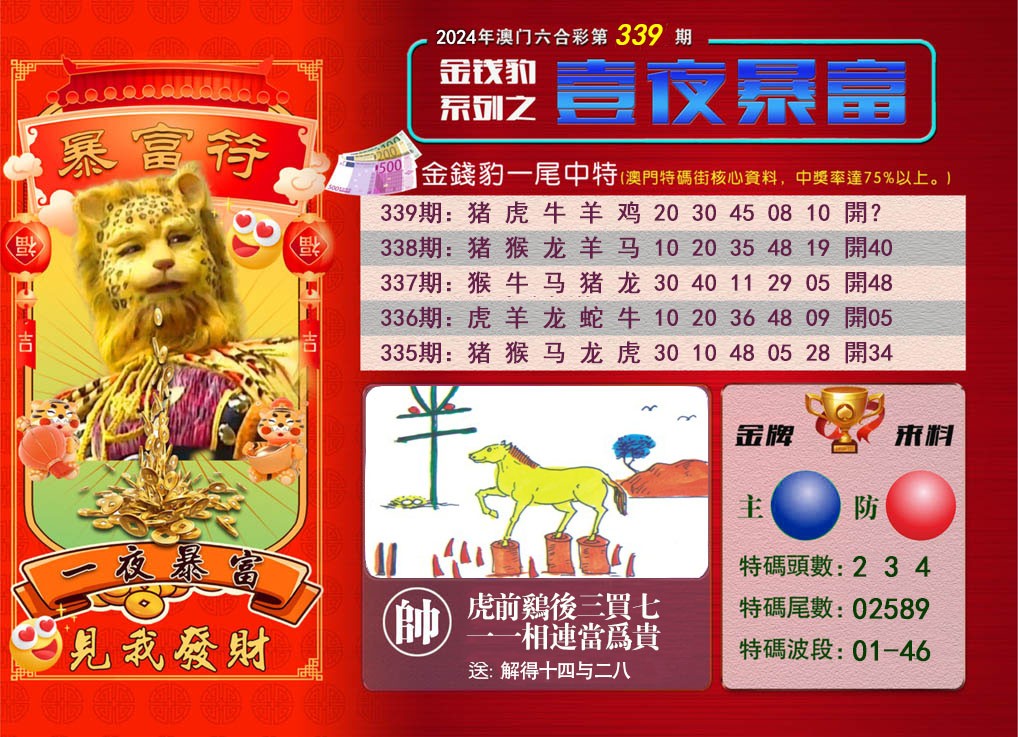 2024339期一夜暴富