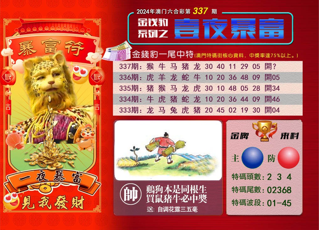 2024337期一夜暴富