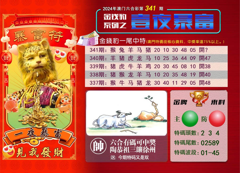 2024341期一夜暴富