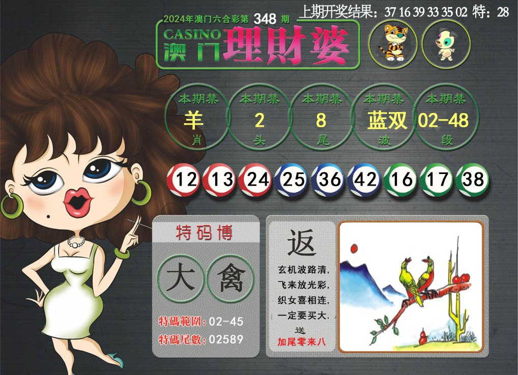 2024348期澳门理财婆