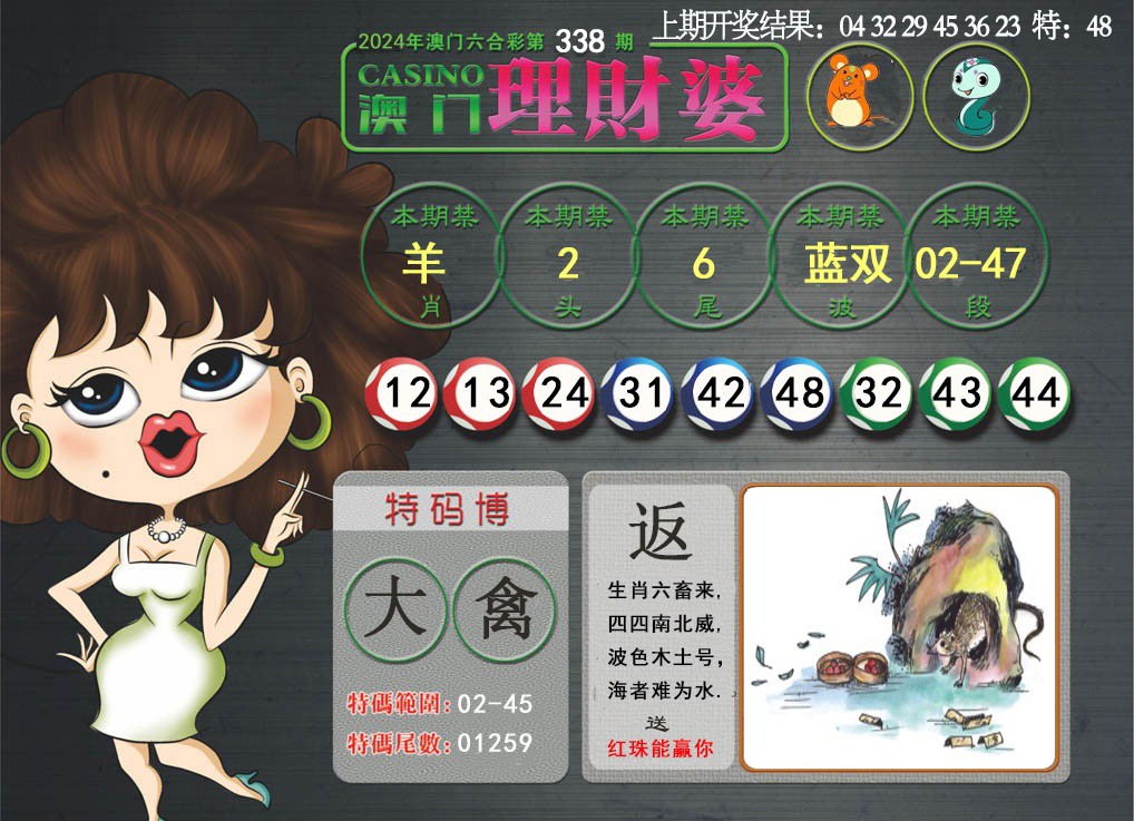 2024338期澳门理财婆