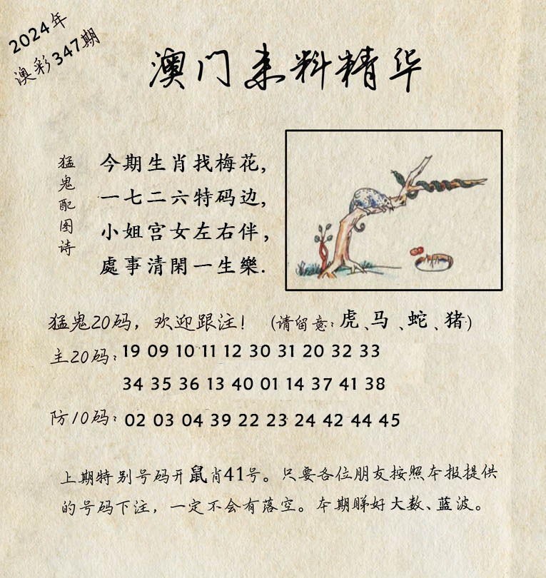 2024347期澳门来料精华