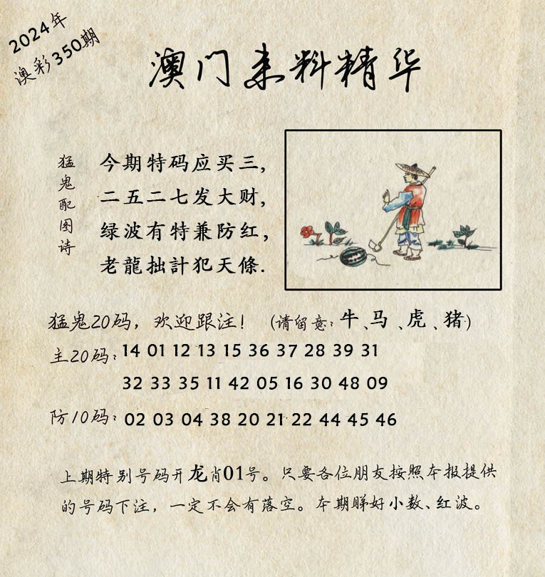 2024350期澳门来料精华