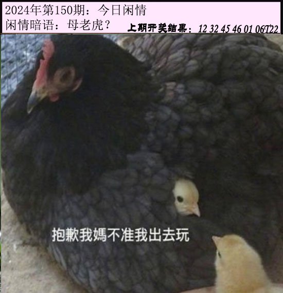 2024150期今日闲情
