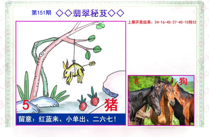 2024151期翡翠报