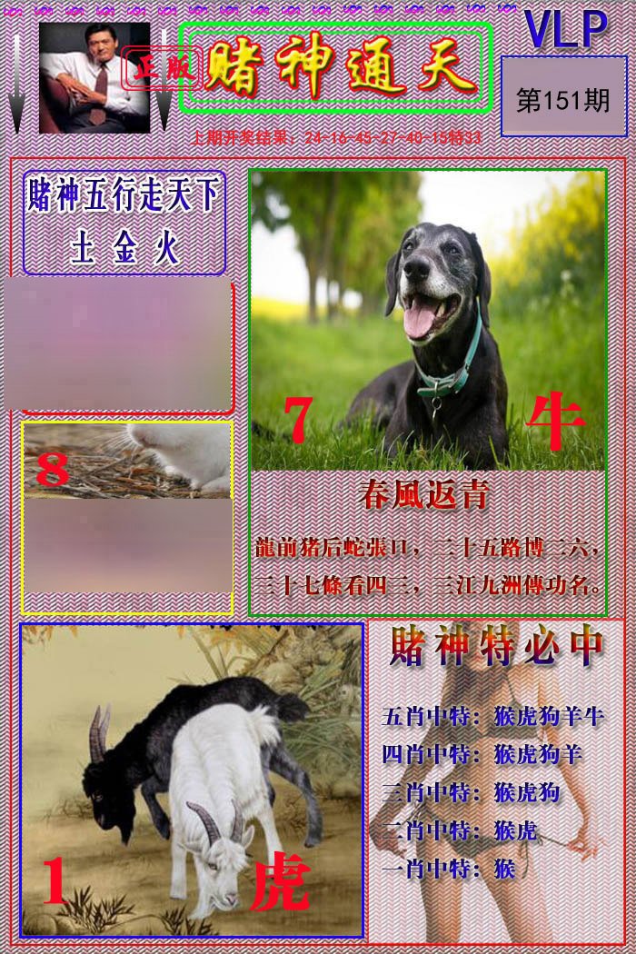 2024151期赌神通天报