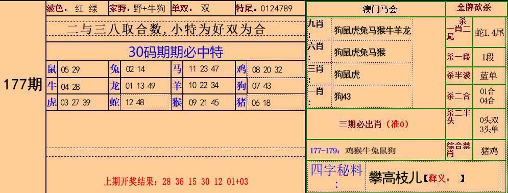 2024177期30码中特