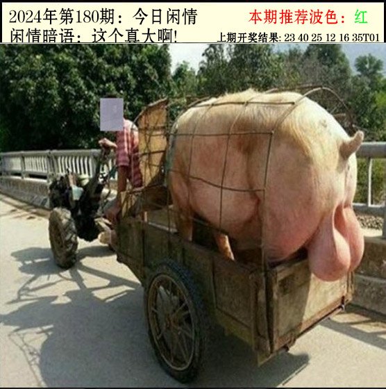 2024180期今日闲情2