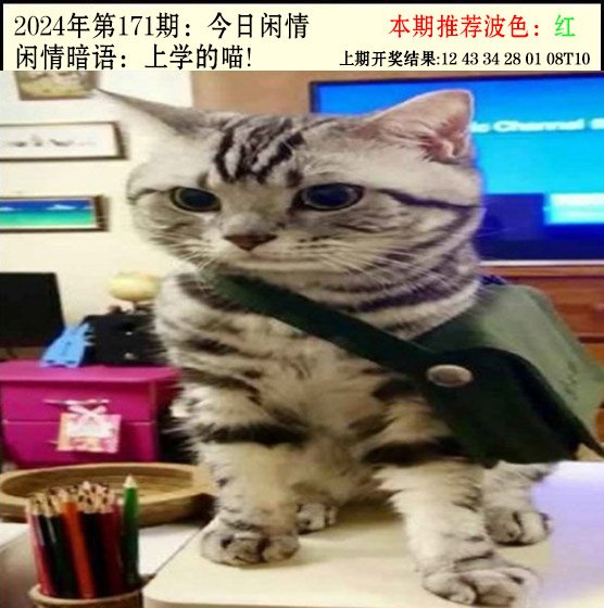 2024171期今日闲情2