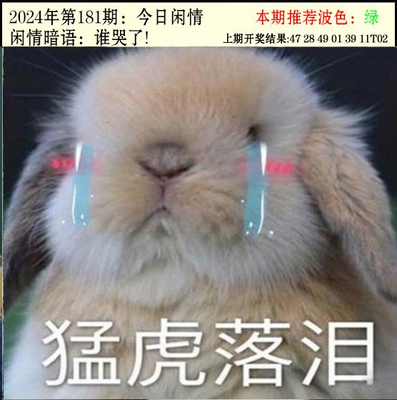 2024181期今日闲情2