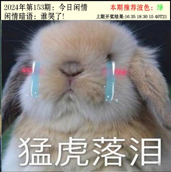 2024153期今日闲情2
