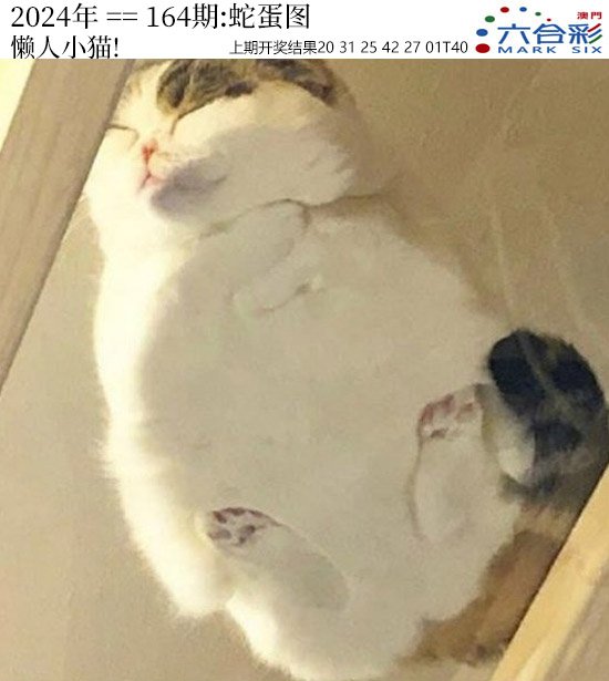 2024164期正版蛇蛋图