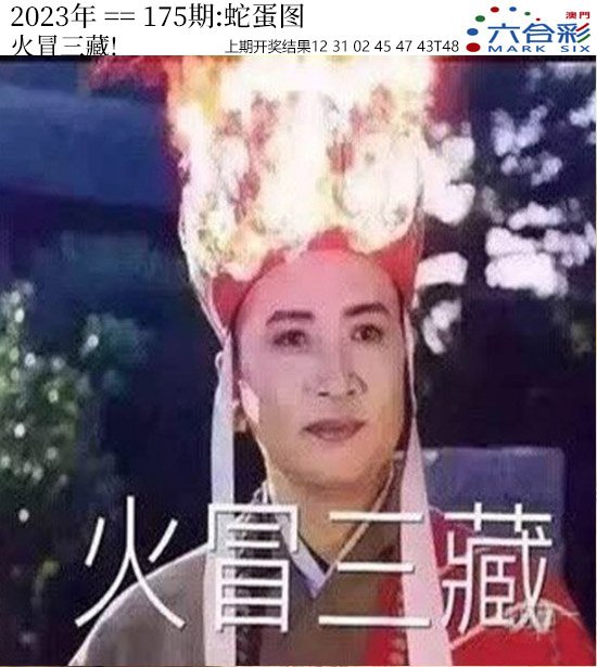 2024175期正版蛇蛋图