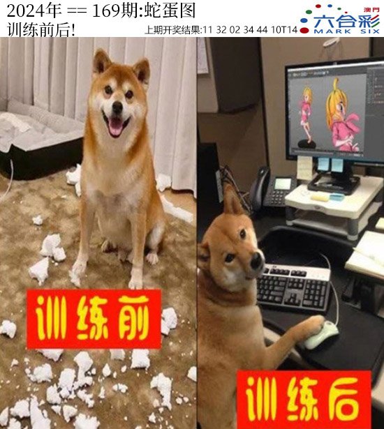 2024169期正版蛇蛋图