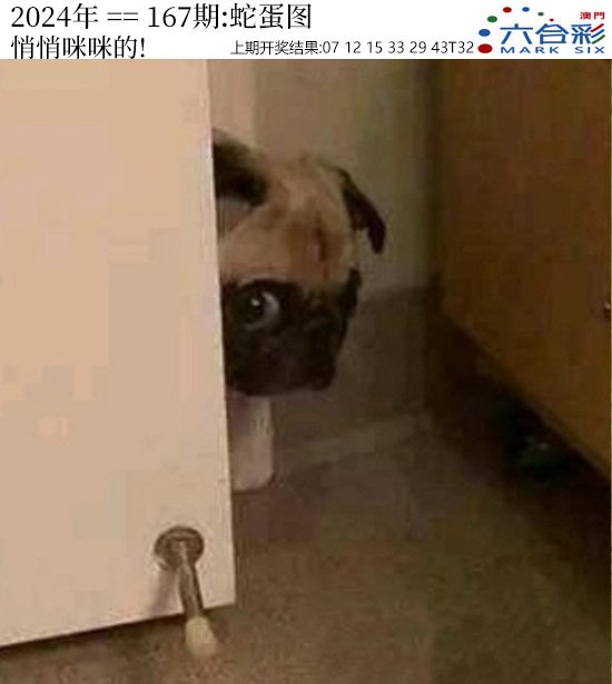 2024167期正版蛇蛋图