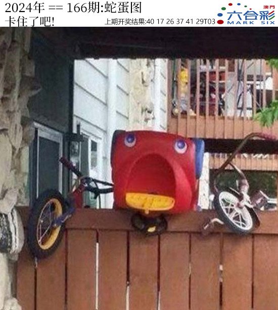 2024166期正版蛇蛋图