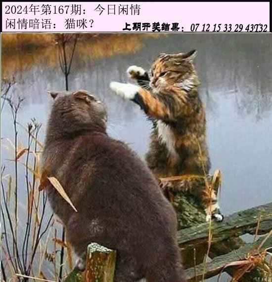 2024167期今日闲情