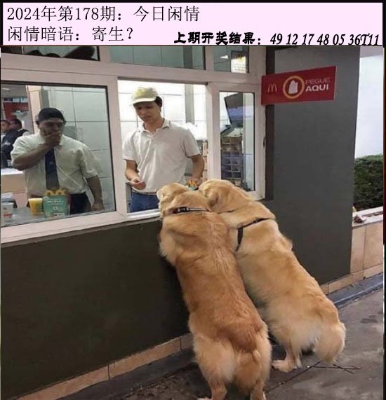 2024178期今日闲情