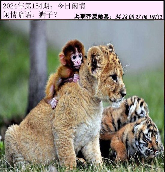2024154期今日闲情