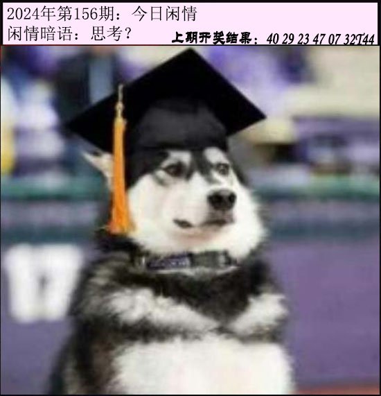 2024156期今日闲情