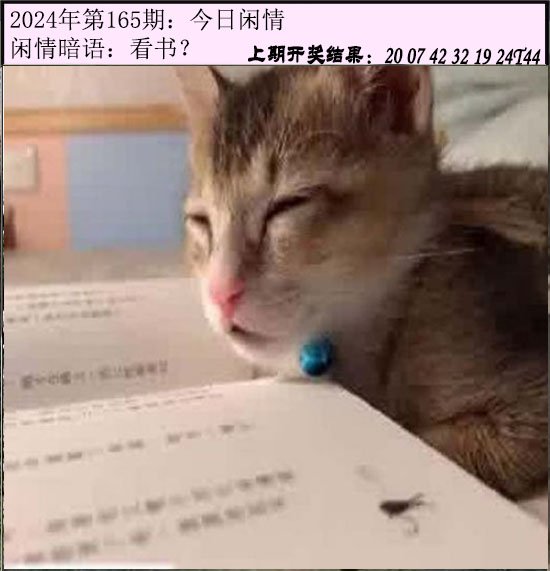 2024165期今日闲情