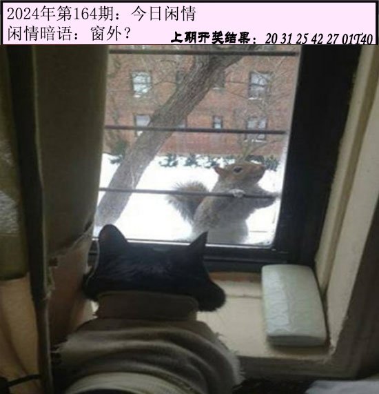 2024164期今日闲情