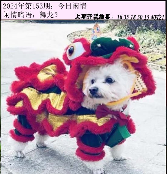 2024153期今日闲情