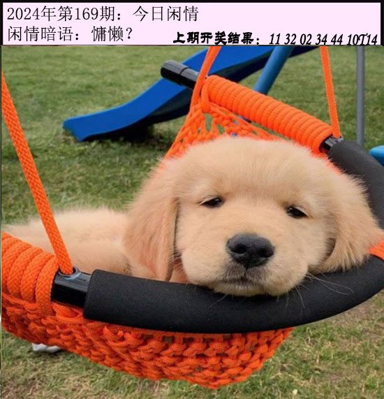 2024169期今日闲情