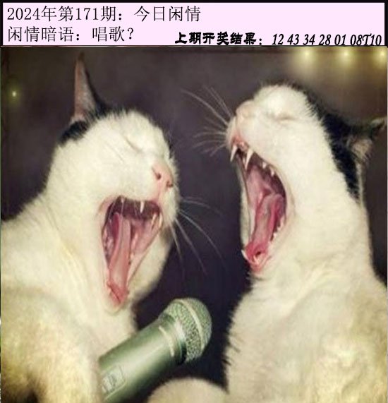 2024171期今日闲情