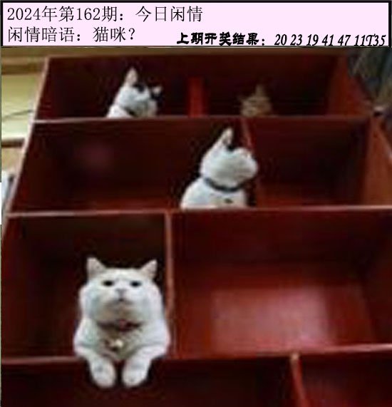 2024162期今日闲情