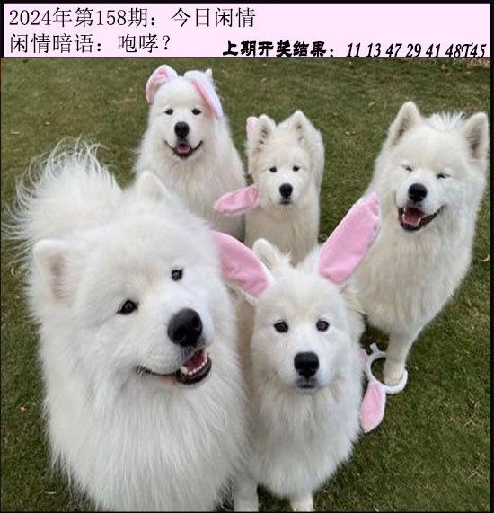 2024158期今日闲情