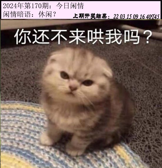 2024170期今日闲情
