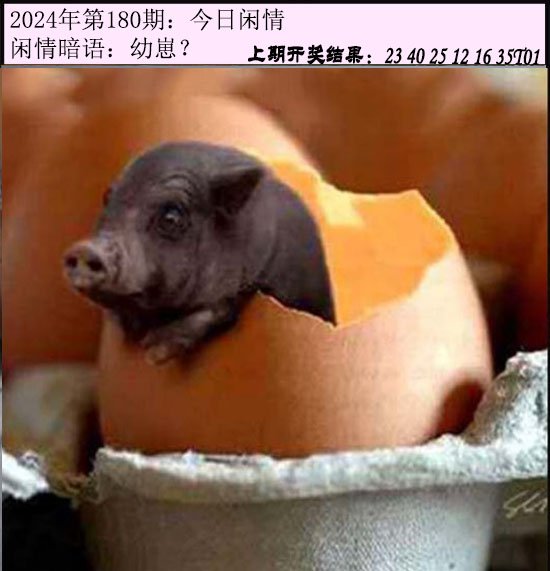 2024180期今日闲情