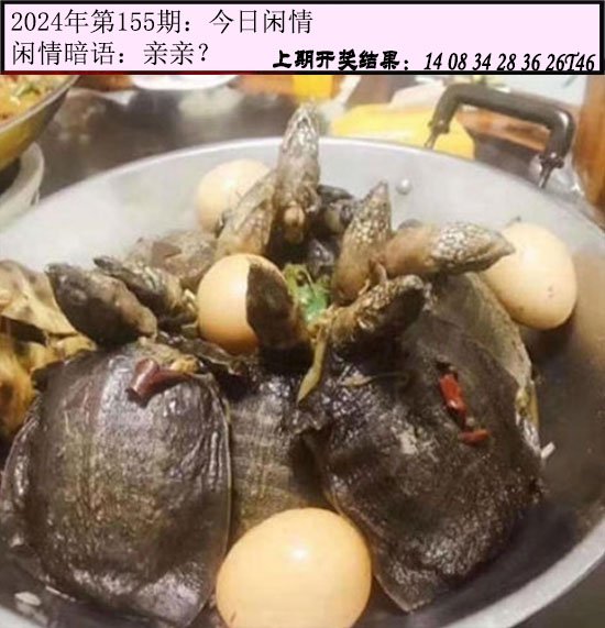 2024155期今日闲情
