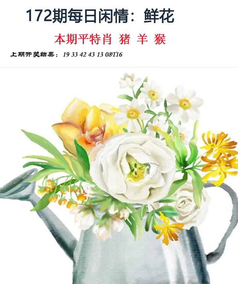 2024172期每日闲情