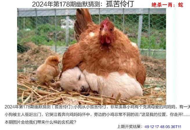 2024178期幽默猜测