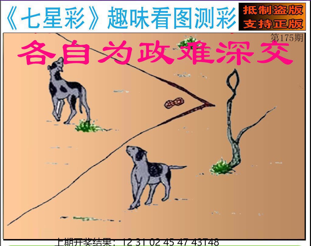 2024175期澳版七星彩图