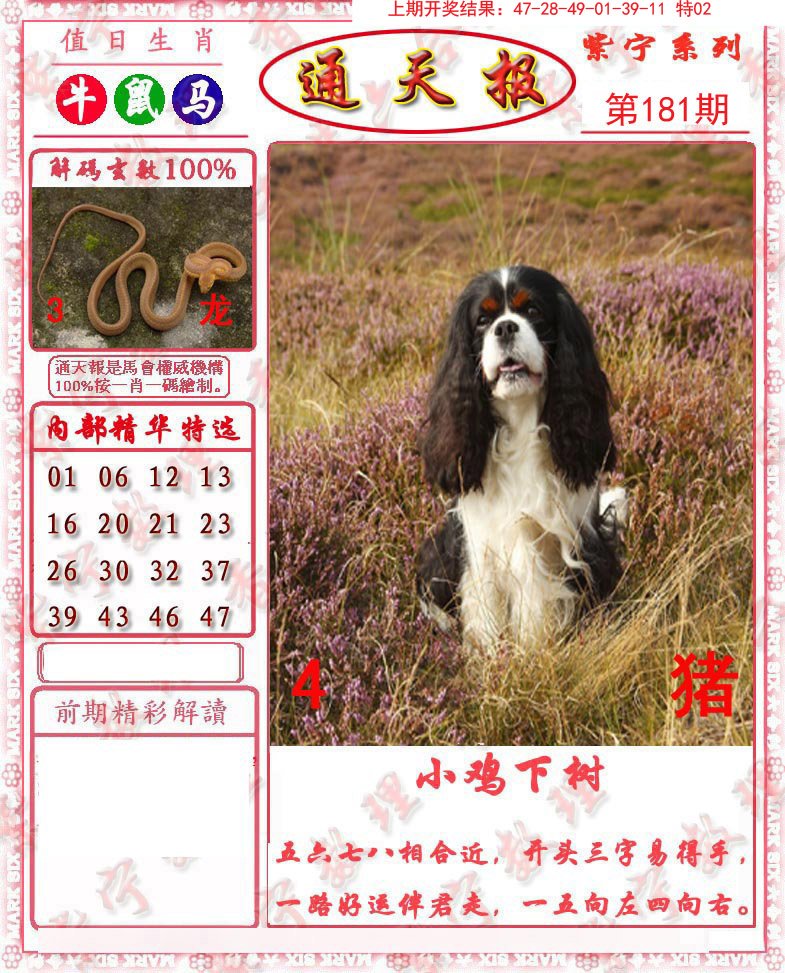 2024181期救通报