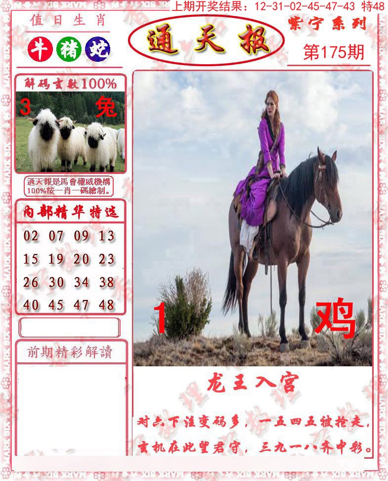 2024175期救通报