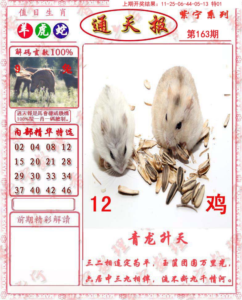 2024163期救通报