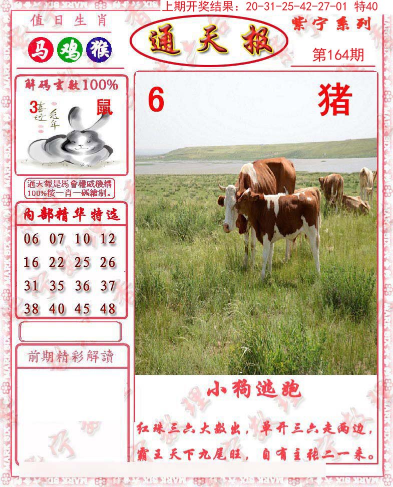 2024164期救通报