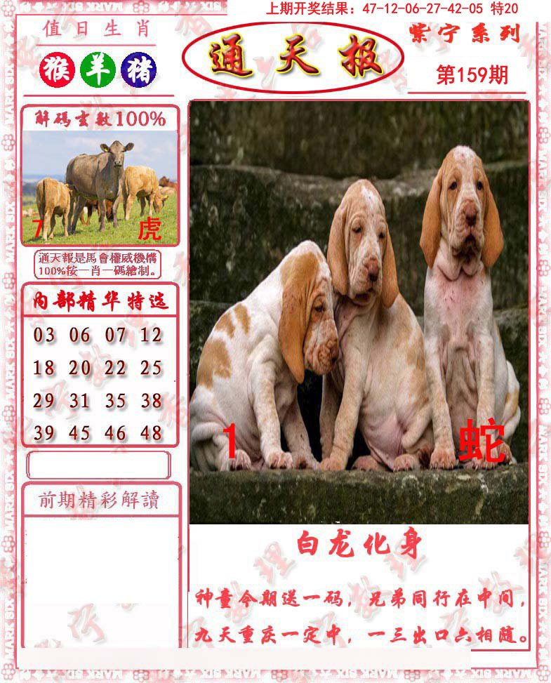 2024159期救通报