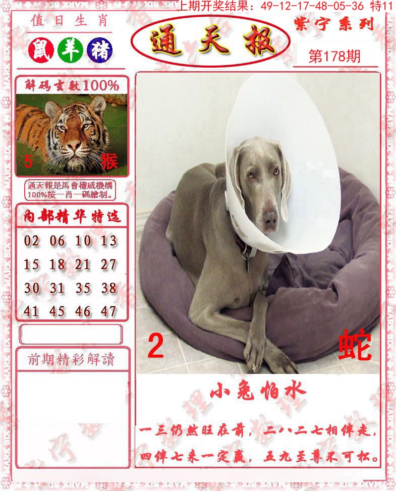2024178期救通报